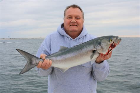 fishing report for delaware bay|south jersey fishing reports today.